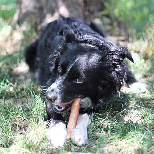 100% Natural Brazilian Bully Sticks - 1 lb Bag